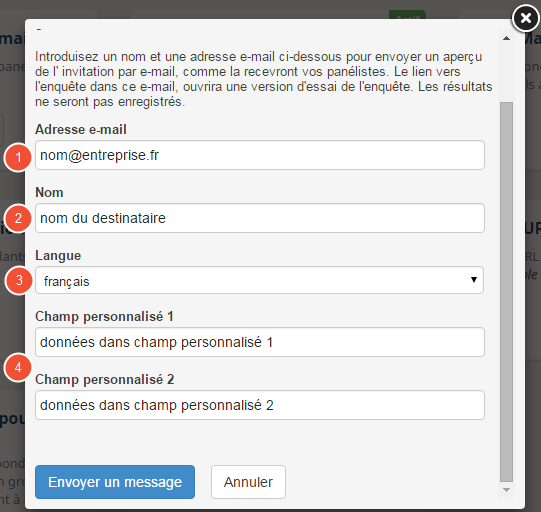 données à remplir en envoyant un aperçu par e-mail